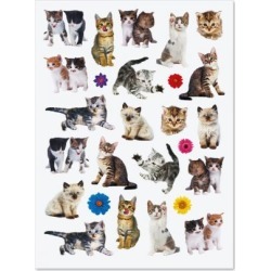 Kittens Stickers