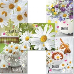 Daisy Thank You Card Value Pack