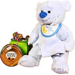 Blue Teddy Baby Boy
