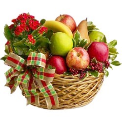 Colossal Fruit Basket