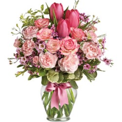 Tulip Sensation