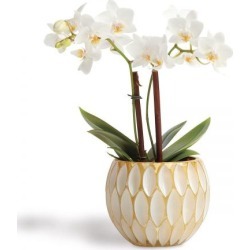 Scalloped Votive Holder