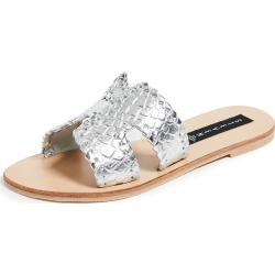 Steven Greece Slides