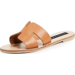 Steven Greece Slides