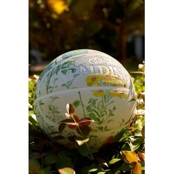 spalding globe basketball