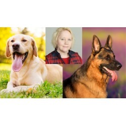Dog; Dog Training; Dog Breed Selection Course