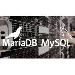 MySQL MariaDB From Scratch - Become an App Developer in 2022