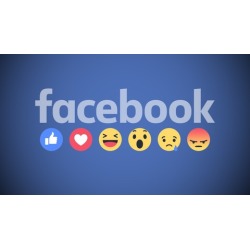 7 FIGURE Facebook Ads 2021