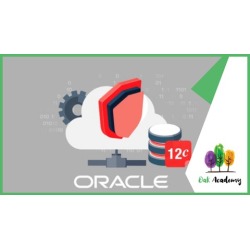 Oracle 12C R2 RAC Administration and Data Guard for 12C R2 found on Bargain Bro Philippines from Udemy for $199.99