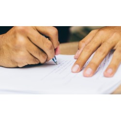 Thesis/dissertation writing