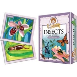 Outset Media Games OM10412 Noggin Insects and Spiders