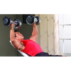 Gold's Gym Switch Plate 100-Pound Dumbbells and Stand