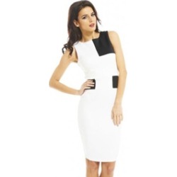 AX Paris Bodycon Color Block Dress
