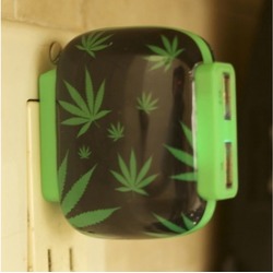 Graphic Dual USB Wall Charger