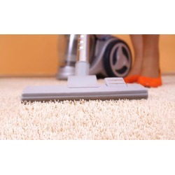 $20 for $50 Worth of Rug and Carpet Cleaning - Paniagua Carpet Cleaners