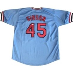 Autographed Bob Gibson St. Louis Cardinals Custom Jersey Baby Blue