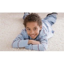 $40 for $90 Worth of Rug and Carpet Cleaning - Eco Pros Carpet Cleaning