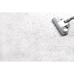 $62 for $89 Worth of Rug and Carpet Cleaning - Radiant Cleaning Experts