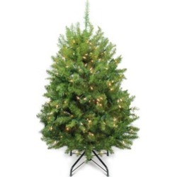 4' Pre-Lit Northern Pine Full Artificial Christmas Tree - Clear Lights