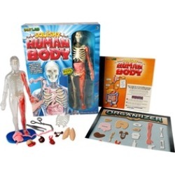 SmartLab Toys Squishy Human Body SmartLab Toys Squishy Human Body