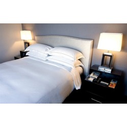 Hilton Arlington