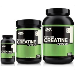 Nutrition Micronized Creatine Powder 150/300/600/1200/2000g Unflavored