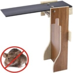 Easy to Clean Walk The Plank Mouse Trap