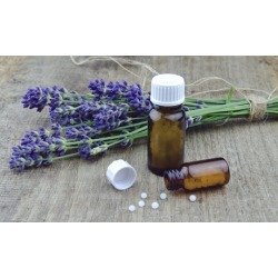 $71 for $125 Worth of Services - Plant Essential Treatment Center