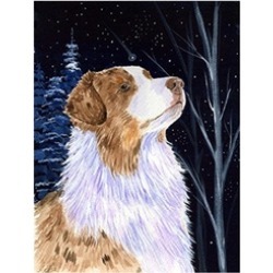 Carolines Treasures SS8375CHF Starry Night Australian Shepherd Canvas