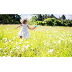 Mosquito Treatments for up to One Acre from Superior Mosquito Defense (Up to 61% Off)