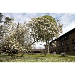 buy Munkebjerg Hotel cheap online