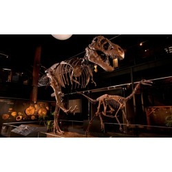 General Admission for 2, 4, or 6 at Houston Museum of Natural Science at Sugar Land (Up to 29% Off)