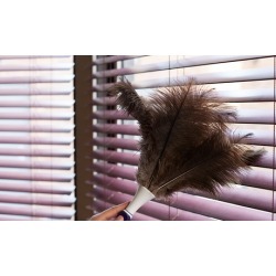 $5 for $50 voucher - Custom Wholesale Shutters and Blinds