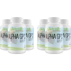 Lyfetrition Alpha GPC Premium Nootropic