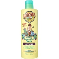 Jason Natural Products 0327221 Earths Best Organic Shampoo & Body Wash