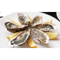 Seafood and American Cuisine at Captain James Landing (47% Off). Two Options Available.
