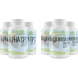 3 Lyfetrition Alpha GPC Nootropic with 3 Magnesium Mineral