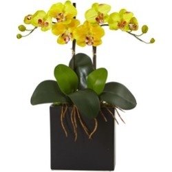18.5" High Mini Bright Color Yellow Phalaenopsis Faux With Black Vase