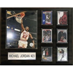 C & I Collectables 1620JORDAN NBA Michael Jordan Chicago Bulls Player