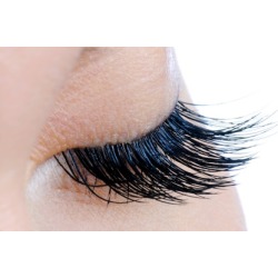 Natural Volume Mink Eyelash Extensions with Optional Fill at Lulu Lash Studio (Up to 37% Off)