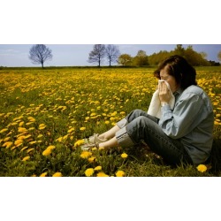 Allergy-Symptom Assessment and Treatment for a Child, Senior, or an Adult at Casad Chiropractic in Petaluma (61% Off)