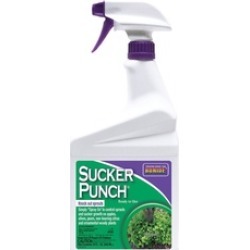 Bonide Products Inc P-Sucker Punch Ready To Use 32 Ounce