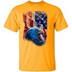 American Flag with Eagle Shadow Shirt American Eagle Flag Shirt