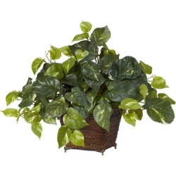 Pothos with Coiled Rope Decorative Silk Plant.