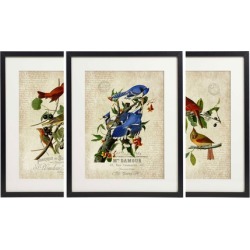 Vintage Bird & Botanical Home Decor Art Print Set of 4 Prints Unframed