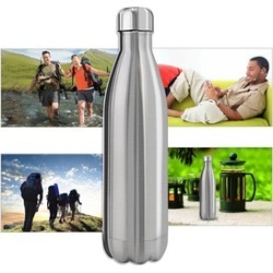 17 oz Insulated Stainless Steel Water Bottle