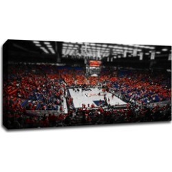 College Basketball Canvas Prints (ToC)