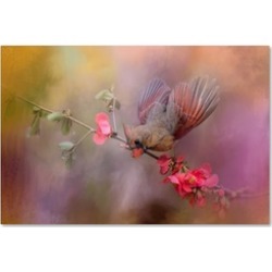 Jai Johnson 'Spring Cardinal 2' Canvas Art