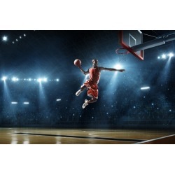 Delaware Blue Hens Basketball Tickets