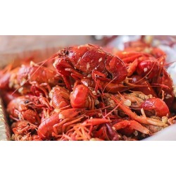 $13.50 for $20 Worth of Cajun Cuisine at New Orleans Cajun Seafood